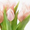 Artificial Flower 16*16*31cm Tulip *5 bundle GS-24523011-P2 2024Jan YeahFlower is one of Chinese leading OEM manufacturers and exporters , supplying the silk flowers, wholesale artificial trees