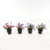 Artificial Flower Wild flower in PP pot GS-03323146_1 Artificial Flower 19*19*24cm Wild flower in PP pot GS-03323146 2024Jan YeahFlower is one of Chinese leading OEM manufacturers and exporters , supplying the silk flowers, wholesale artificial trees