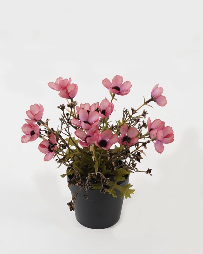 Artificial Flower Wild flower in PP pot GS-03323146_4 Artificial Flower 19*19*24cm Wild flower in PP pot GS-03323146 2024Jan YeahFlower is one of Chinese leading OEM manufacturers and exporters , supplying the silk flowers, wholesale artificial trees