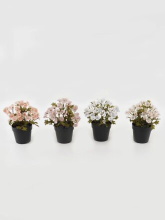 Artificial Flower 19*19*24cm Wild flower in PP pot GS-03323146-W1 Potted Flowers&Plants 3,000+ sqm showroom with thousands of artificial flowers, plants & trees ready for global sourcing.