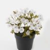 Artificial Flower Wild flower in PP pot GS-03323147_3 Artificial Flower 16*16*18.5cm Wild flower in PP pot GS-03323147 2024Jan YeahFlower is one of Chinese leading OEM manufacturers and exporters , supplying the silk flowers, wholesale artificial trees