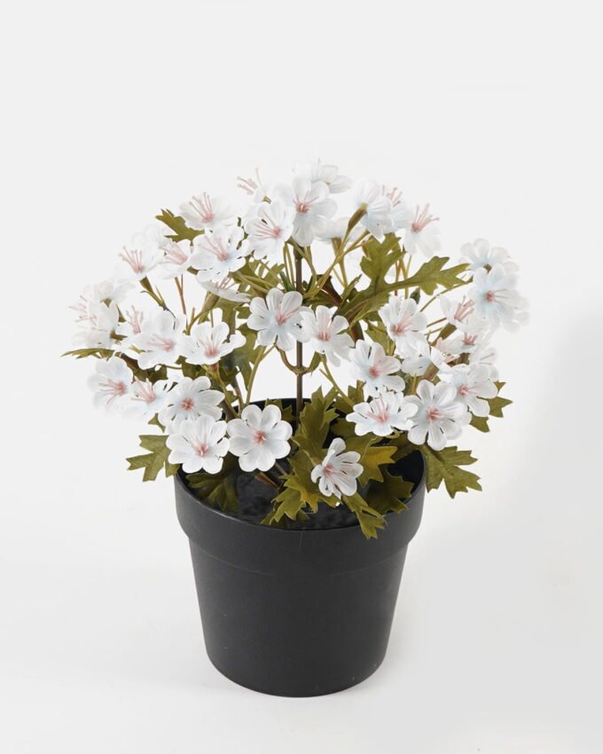 Artificial Flower Wild flower in PP pot GS-03323147_3 Artificial Flower 16*16*18.5cm Wild flower in PP pot GS-03323147 2024Jan YeahFlower is one of Chinese leading OEM manufacturers and exporters , supplying the silk flowers, wholesale artificial trees