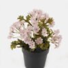 Artificial Flower Wild flower in PP pot GS-03323147_5 Artificial Flower 16*16*18.5cm Wild flower in PP pot GS-03323147 2024Jan YeahFlower is one of Chinese leading OEM manufacturers and exporters , supplying the silk flowers, wholesale artificial trees