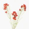 Artificial Flower Wintersweet Flower 3 single stem GS-30323010-R1_8 Artificial Flower 13*13*70cm Wintersweet Flower *3 single stem GS-30323010-R1 2024Jan YeahFlower is one of Chinese leading OEM manufacturers and exporters , supplying the silk flowers, wholesale artificial trees