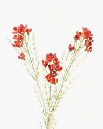 Artificial Flower 13*13*70cm Wintersweet Flower *3 single stem GS-30323010-R1 2024Jan YeahFlower is one of Chinese leading OEM manufacturers and exporters , supplying the silk flowers, wholesale artificial trees Artificial Flower 13*13*70cm Wintersweet Flower *3 single stem GS-30323010-R1 2024Jan YeahFlower is one of Chinese leading OEM manufacturers and exporters , supplying the silk flowers, wholesale artificial trees