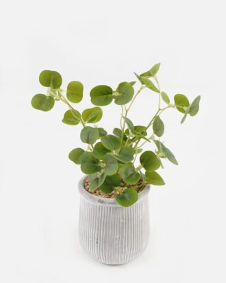 Artificial Flower 18*8*24cm potted leaf in cemnet pot GS-51723079 2024Feb YeahFlower is one of Chinese leading OEM manufacturers and exporters , supplying the silk flowers, wholesale artificial trees