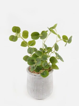 Artificial Plant 20*20*44cm potted leaf in cemnet pot GS-51723080 Potted Flowers&Plants 3,000+ sqm showroom with thousands of artificial flowers, plants & trees ready for global sourcing.