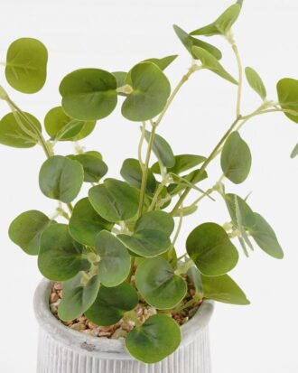 Artificial Flower 18*8*24cm potted leaf in cemnet pot GS-51723079 2024Feb YeahFlower is one of Chinese leading OEM manufacturers and exporters , supplying the silk flowers, wholesale artificial trees