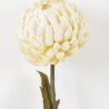 Artificial Flower 13*72CM single ball chrysanthemun GS-0690222-W1 2024Jan YeahFlower is one of Chinese leading OEM manufacturers and exporters , supplying the silk flowers, wholesale artificial trees