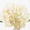 Artificial Flower 20*63CM single hydrangea GS-1450097-W2 2024Feb YeahFlower is one of Chinese leading OEM manufacturers and exporters , supplying the silk flowers, wholesale artificial trees