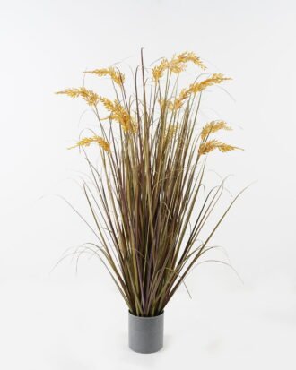 Artificial Grass 56*56*100cm Grass *13 in PP pot GS-29423133 2024Jan YeahFlower is one of Chinese leading OEM manufacturers and exporters , supplying the silk flowers, wholesale artificial trees Artificial Grass 56*56*100cm Grass *13 in PP pot GS-29423133 2024Jan YeahFlower is one of Chinese leading OEM manufacturers and exporters , supplying the silk flowers, wholesale artificial trees