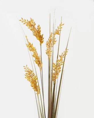 Artificial Grass 28*28*113cm Grass *5 single stem GS-29423148 2024Jan YeahFlower is one of Chinese leading OEM manufacturers and exporters , supplying the silk flowers, wholesale artificial trees Artificial Grass 28*28*113cm Grass *5 single stem GS-29423148 2024Jan YeahFlower is one of Chinese leading OEM manufacturers and exporters , supplying the silk flowers, wholesale artificial trees