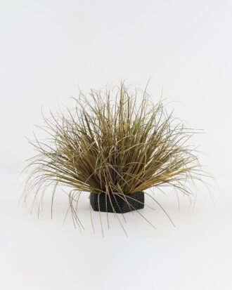 Artificial Grass 60*60*41cm Grass in Epe Seating GS-29423145 2024Jan YeahFlower is one of Chinese leading OEM manufacturers and exporters , supplying the silk flowers, wholesale artificial trees Artificial Grass 60*60*41cm Grass in Epe Seating GS-29423145 2024Jan YeahFlower is one of Chinese leading OEM manufacturers and exporters , supplying the silk flowers, wholesale artificial trees