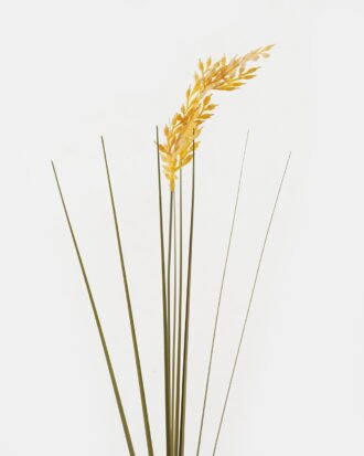 Artificial Grass 15*15*88cm Grass single stem GS-29423146 2024Jan YeahFlower is one of Chinese leading OEM manufacturers and exporters , supplying the silk flowers, wholesale artificial trees Artificial Grass 15*15*88cm Grass single stem GS-29423146 2024Jan YeahFlower is one of Chinese leading OEM manufacturers and exporters , supplying the silk flowers, wholesale artificial trees