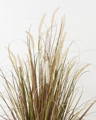 Artificial Grass 70*70*99cm Green bristlegrass *16 in Epe Seating GS-29423120 2024Jan YeahFlower is one of Chinese leading OEM manufacturers and exporters , supplying the silk flowers, wholesale artificial trees Artificial Grass 70*70*99cm Green bristlegrass *16 in Epe Seating GS-29423120 2024Jan YeahFlower is one of Chinese leading OEM manufacturers and exporters , supplying the silk flowers, wholesale artificial trees