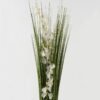 Artificial Grass Oncidium Grass 4 GS-61923071_9 Artificial Grass 24*24*93cm Oncidium Grass *4 GS-61923071 2024Jan YeahFlower is one of Chinese leading OEM manufacturers and exporters , supplying the silk flowers, wholesale artificial trees