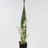 Artificial Grass Oncidium Grass 4 in PP pot GS-61923070-W1_5 Artificial Grass 18*18*85cm Oncidium Grass *4 in PP pot GS-61923070-W1 2024Jan YeahFlower is one of Chinese leading OEM manufacturers and exporters , supplying the silk flowers, wholesale artificial trees