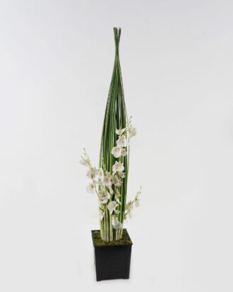 Artificial Grass 18*18*85cm Oncidium Grass *4 in PP pot GS-61923070-W1 2024Jan YeahFlower is one of Chinese leading OEM manufacturers and exporters , supplying the silk flowers, wholesale artificial trees Artificial Grass 18*18*85cm Oncidium Grass *4 in PP pot GS-61923070-W1 2024Jan YeahFlower is one of Chinese leading OEM manufacturers and exporters , supplying the silk flowers, wholesale artificial trees