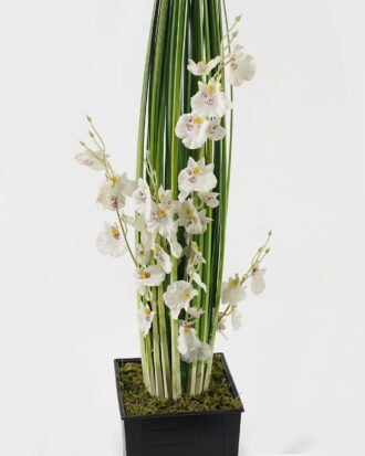 Artificial Grass 18*18*85cm Oncidium Grass *4 in PP pot GS-61923070-W1 2024Jan YeahFlower is one of Chinese leading OEM manufacturers and exporters , supplying the silk flowers, wholesale artificial trees Artificial Grass 18*18*85cm Oncidium Grass *4 in PP pot GS-61923070-W1 2024Jan YeahFlower is one of Chinese leading OEM manufacturers and exporters , supplying the silk flowers, wholesale artificial trees