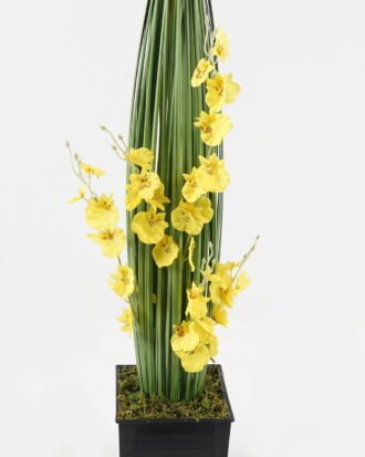 Artificial Grass 18*18*85cm Oncidium Grass *4 in PP pot GS-61923070 2024Jan YeahFlower is one of Chinese leading OEM manufacturers and exporters , supplying the silk flowers, wholesale artificial trees Artificial Grass 18*18*85cm Oncidium Grass *4 in PP pot GS-61923070 2024Jan YeahFlower is one of Chinese leading OEM manufacturers and exporters , supplying the silk flowers, wholesale artificial trees