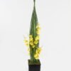 Artificial Grass Oncidium Grass 4 in PP pot GS-61923070_3 Artificial Grass 18*18*85cm Oncidium Grass *4 in PP pot GS-61923070 2024Jan YeahFlower is one of Chinese leading OEM manufacturers and exporters , supplying the silk flowers, wholesale artificial trees