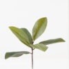 Artificial Plant 40cm Magnolia single stem 6 lvs GS-64823004_1 Artificial Plant 40cm Magnolia single stem/6 lvs GS-64823004 2024Jan YeahFlower is one of Chinese leading OEM manufacturers and exporters , supplying the silk flowers, wholesale artificial trees