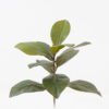 Artificial Plant 48cm Magnolia single stem 11 lvs GS-64823005_5 Artificial Plant 48cm Magnolia single stem/11 lvs GS-64823005 2024Jan YeahFlower is one of Chinese leading OEM manufacturers and exporters , supplying the silk flowers, wholesale artificial trees