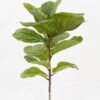 Artificial Plant 80cm Ficus single stem/13 lvs GS-64823003 2024Jan YeahFlower is one of Chinese leading OEM manufacturers and exporters , supplying the silk flowers, wholesale artificial trees