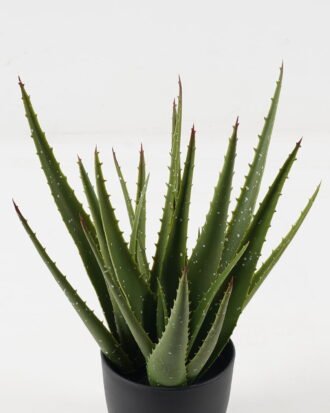 Artificial Plant 27*27*34cm Aloe in PP pot/22 lvs GS-59523146 2024Jan YeahFlower is one of Chinese leading OEM manufacturers and exporters , supplying the silk flowers, wholesale artificial trees