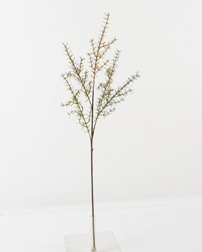 Artificial Plant Aquatic plant 3 single stem GS-72423030 _4 Artificial Plant 40*40*86cm Aquatic plant *3 single stem GS-72423030 2024Jan YeahFlower is one of Chinese leading OEM manufacturers and exporters , supplying the silk flowers, wholesale artificial trees