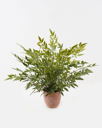 Artificial Plant 55*55*58cm Bamboo leaf in PP pot GS-48123001CONTI 2024Jan YeahFlower is one of Chinese leading OEM manufacturers and exporters , supplying the silk flowers, wholesale artificial trees