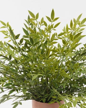 Artificial Plant 80*80*58cm Bamboo leaf in PP pot GS-48123002CONTI 2024Jan YeahFlower is one of Chinese leading OEM manufacturers and exporters , supplying the silk flowers, wholesale artificial trees