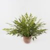 Artificial Plant 85*85*58cm Bamboo leaf in PP pot GS-48123003CONTI 2024Jan YeahFlower is one of Chinese leading OEM manufacturers and exporters , supplying the silk flowers, wholesale artificial trees
