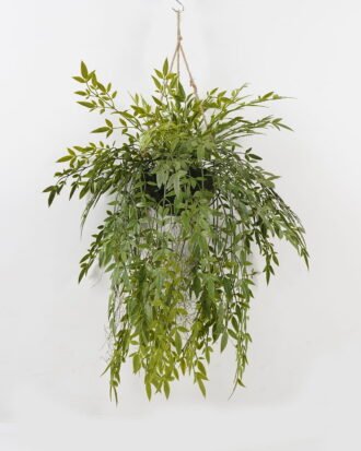 Artificial Plant 50*50*101cm Bamboo leaf in PP pot GS-48123019CONTI 2024Jan YeahFlower is one of Chinese leading OEM manufacturers and exporters , supplying the silk flowers, wholesale artificial trees
