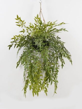 Artificial Plant 55*55*58cm Fern leaf in PP pot GS-48123018CONTI Potted Flowers&Plants 3,000+ sqm showroom with thousands of artificial flowers, plants & trees ready for global sourcing.