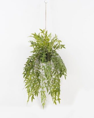 Artificial Plant 45*45*99cm Bamboo leaf in PP pot GS-48123024CONTI 2024Jan YeahFlower is one of Chinese leading OEM manufacturers and exporters , supplying the silk flowers, wholesale artificial trees