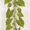 Artificial Plant Caladium bicolor garland 32 lvs GS-71023017-G8_6 Artificial Plant 24*145cm Caladium bicolor garland/32 lvs GS-71023017-G8 2024Jan YeahFlower is one of Chinese leading OEM manufacturers and exporters , supplying the silk flowers, wholesale artificial trees