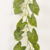 Artificial Plant Caladium bicolor garland 43 lvs GS-71023016-G7_5 Artificial Plant 24*190cm Caladium bicolor garland/43 lvs GS-71023016-G7 2024Jan YeahFlower is one of Chinese leading OEM manufacturers and exporters , supplying the silk flowers, wholesale artificial trees