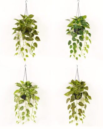 Artificial Plant 50*50*98cm Epipremnum aureum hanging in PP pot/81 lvs GS-71023011 2024Jan YeahFlower is one of Chinese leading OEM manufacturers and exporters , supplying the silk flowers, wholesale artificial trees