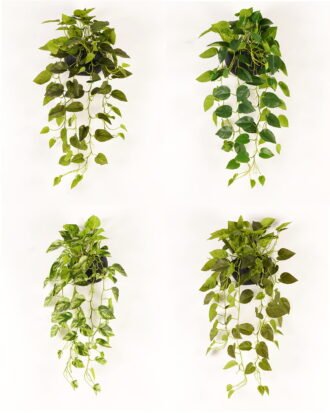 Artificial Plant 50*50*82cm Epipremnum aureum hanging in PP pot/95 lvs GS-71023012 2024Jan YeahFlower is one of Chinese leading OEM manufacturers and exporters , supplying the silk flowers, wholesale artificial trees