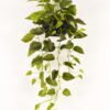 Artificial Plant Epipremnum aureum hanging in PP pot 95 lvs GS-71023012_4 Artificial Plant 50*50*82cm Epipremnum aureum hanging in PP pot/95 lvs GS-71023012 2024Jan YeahFlower is one of Chinese leading OEM manufacturers and exporters , supplying the silk flowers, wholesale artificial trees