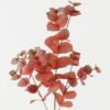 Artificial Plant 20*20*90cm Eucalyptus single stem GS-29822062-R2 2024Jan YeahFlower is one of Chinese leading OEM manufacturers and exporters , supplying the silk flowers, wholesale artificial trees