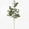 Artificial Plant Eucalyptus single stem GS-29823044 Artificial Plant 20*20*80cm Eucalyptus single stem GS-29823044 2024Jan YeahFlower is one of Chinese leading OEM manufacturers and exporters , supplying the silk flowers, wholesale artificial trees