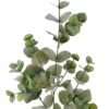 Artificial Plant Eucalyptus single stem GS-29823044_2 Artificial Plant 20*20*80cm Eucalyptus single stem GS-29823044 2024Jan YeahFlower is one of Chinese leading OEM manufacturers and exporters , supplying the silk flowers, wholesale artificial trees