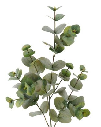 Artificial Plant 20*20*80cm Eucalyptus single stem GS-29823044 2024Jan YeahFlower is one of Chinese leading OEM manufacturers and exporters , supplying the silk flowers, wholesale artificial trees