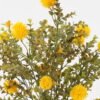 Artificial Plant 30*30*47cm Eucalyptus+yellow fruit *5 bush GS-54023035 2024Feb YeahFlower is one of Chinese leading OEM manufacturers and exporters , supplying the silk flowers, wholesale artificial trees