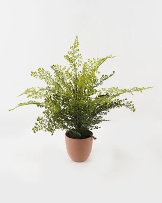 Artificial Plant 55*55*58cm Fern leaf in PP pot GS-48123004CONTI 2024Jan YeahFlower is one of Chinese leading OEM manufacturers and exporters , supplying the silk flowers, wholesale artificial trees