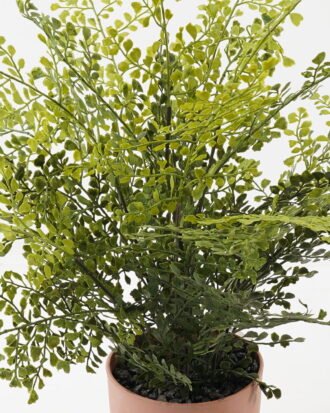 Artificial Plant 55*55*58cm Fern leaf in PP pot GS-48123004CONTI 2024Jan YeahFlower is one of Chinese leading OEM manufacturers and exporters , supplying the silk flowers, wholesale artificial trees