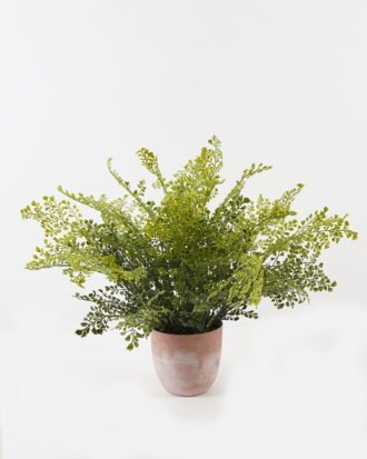Artificial Plant 80*80*58cm Fern leaf in PP pot GS-48123005CONTI 2024Jan YeahFlower is one of Chinese leading OEM manufacturers and exporters , supplying the silk flowers, wholesale artificial trees