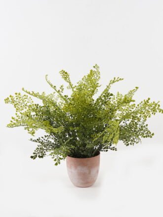 Artificial Plant 55*55*58cm Fern leaf in PP pot GS-48123004CONTI Potted Flowers&Plants 3,000+ sqm showroom with thousands of artificial flowers, plants & trees ready for global sourcing.